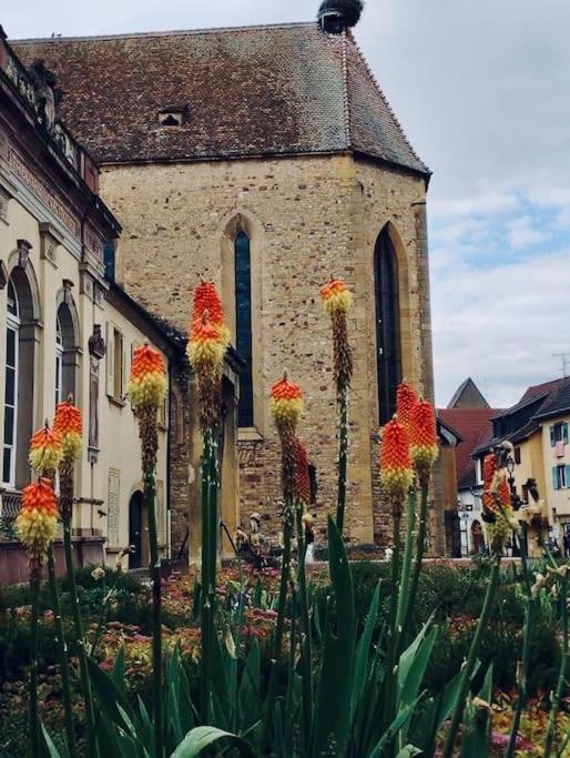 Les Gites De La Poterne Rouffach Exterior foto